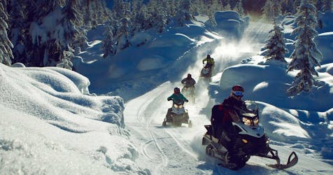 Motos de nieve en Whistler en la naturaleza – Tour intermedio